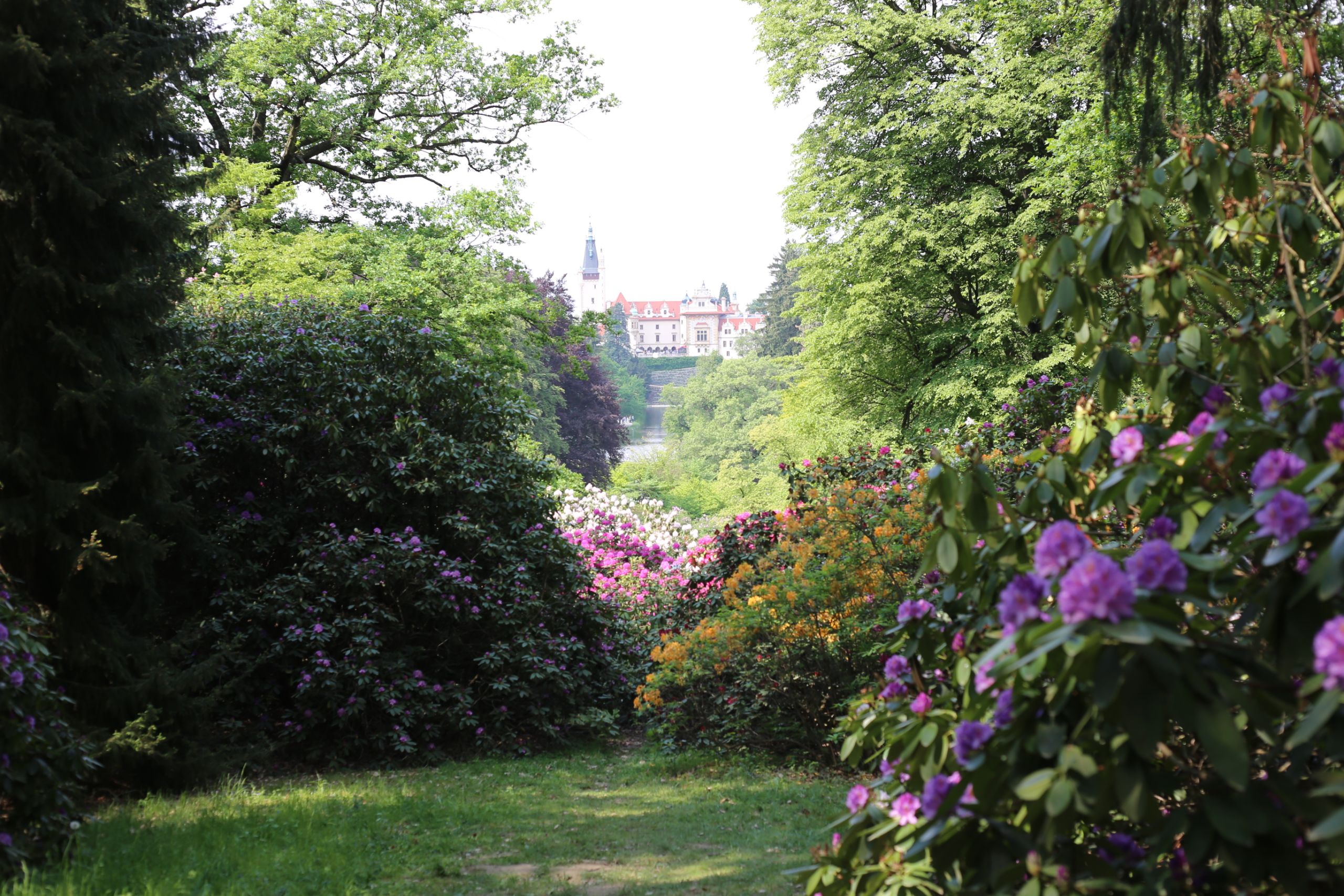 Průhonický park - hlavní vyhlídka